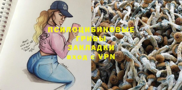 ECSTASY Алзамай