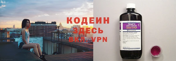 ECSTASY Алзамай