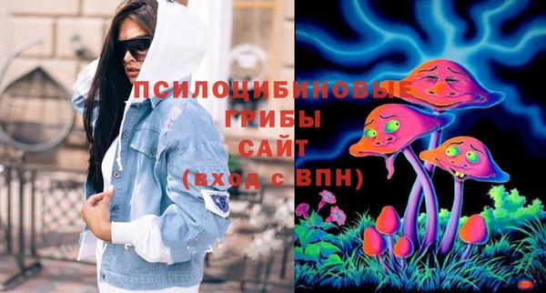 PSILOCYBIN Алексеевка