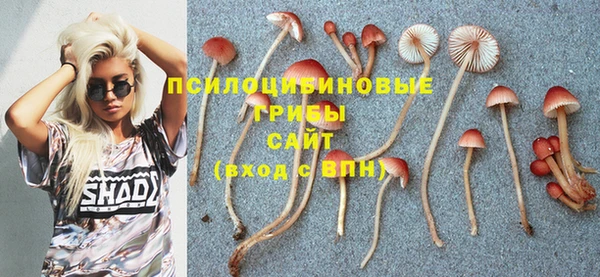 ECSTASY Алзамай