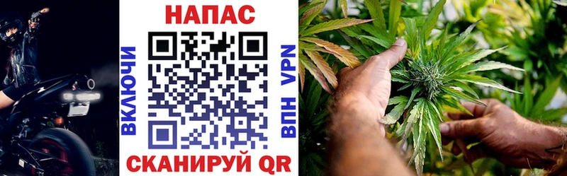 Каннабис Ganja  где можно купить   Славск 